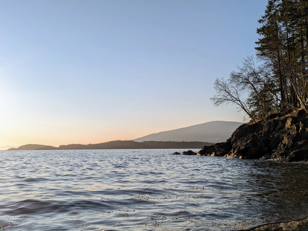 A photo of the natural environment at Cape Roger Curtis